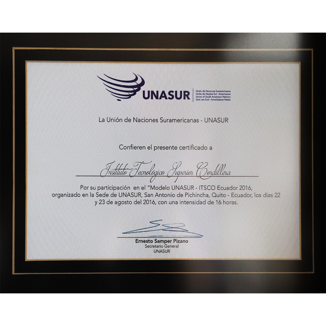 Por Participación en Modelo UNASUR